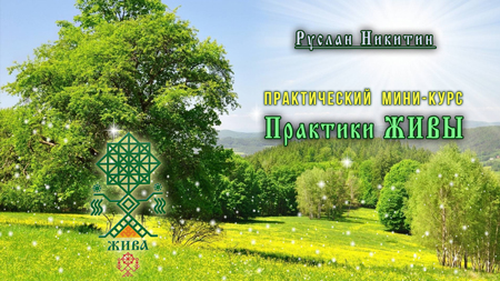 Практики ЖИВЫ