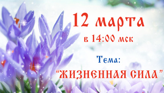 Приглашаем на открытую встречу с Русланом Никитиным в скайпе!